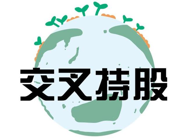 交叉持股安排设计(交叉持股怎么计算持股比例)郴州市